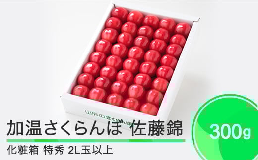 加温 さくらんぼ 佐藤錦 特秀品 2L玉 化粧箱 300g 2026年産 令和8年産  フルーツ 果物 山形県 ※沖縄・離島への配送不可 ja-snk2x300