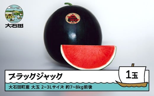 すいか 大玉 ブラックジャック 2〜3Lサイズ×1玉 2026年産 令和8年産 山形県産 大石田町産 8月上旬から順次発送 mn-subjx2