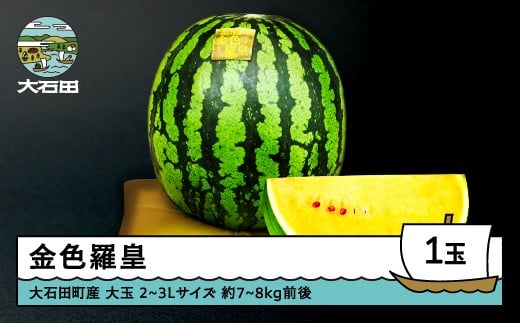 すいか 大玉 金色羅皇 2〜3Lサイズ×1玉 2026年産 令和8年産 山形県産 大石田町産 8月上旬から順次発送 mn-sukrx2