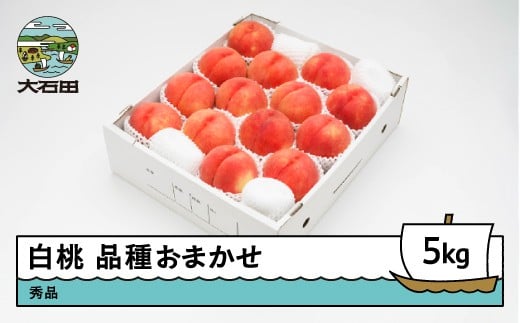 【先行予約】  もも 白桃 秀品 品種おまかせ 5kg 化粧箱入りフルーツ 果物 令和8年産 2026年産 山形県産 ns-mohtx5