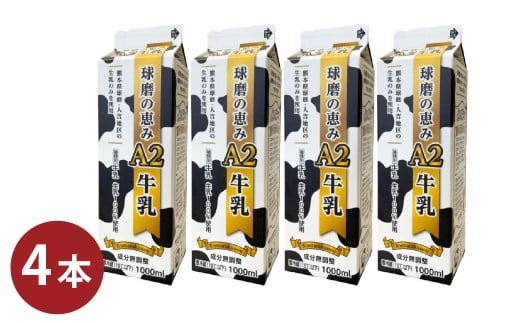 球磨の恵みA2牛乳 4パック 1パック1000ml 1L 計4L 生乳100% ぎゅうにゅう ミルク