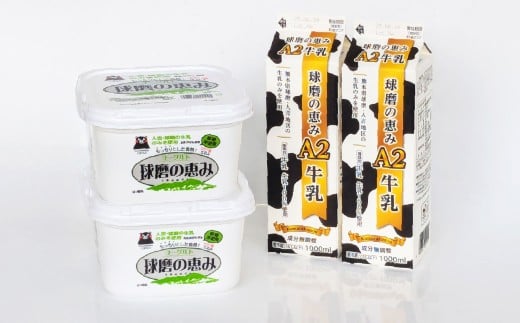 球磨の恵み「A2牛乳」と「球磨の恵みヨーグルト（砂糖不使用）｣ セット 生乳 乳製品 カゼイ菌 ぎゅうにゅう ミルク