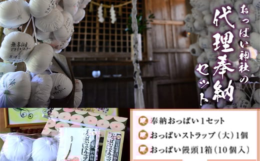 【おっぱいの神様】おっぱい神社の代理奉納セット