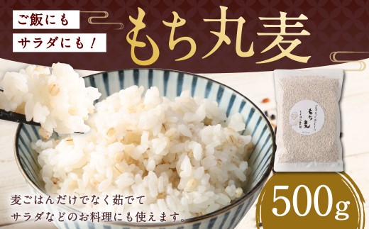 ご飯にもサラダにも！もち丸麦 500g 雑穀米 雑穀 麦 もち麦 麦ごはん 麦ご飯 サラダ 食物繊維 常温 お取り寄せ 国産 九州産 熊本県 湯前町