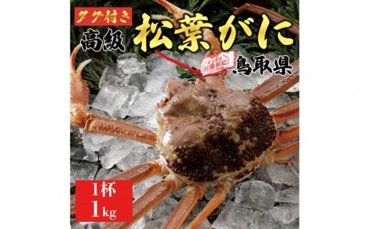 【2025年11月発送】特撰 松葉がに（なま）【ブランドタグ付き】1kg超の大きいサイズ 食べ応えあり 特大1杯