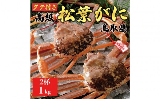 【2025年11月発送】特撰 松葉がに（なま）【ブランドタグ付き】1kg超の大きいサイズ 食べ応えあり 特大2杯