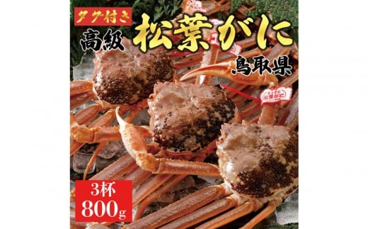 【2025年11月発送】特撰 松葉がに（なま）【ブランドタグ付き】800g超の大きいサイズ 食べ応えあり 特大3杯