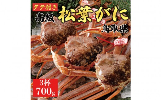 【2025年11月発送】特撰 松葉がに（なま）【ブランドタグ付き】700g超のサイズ  3杯