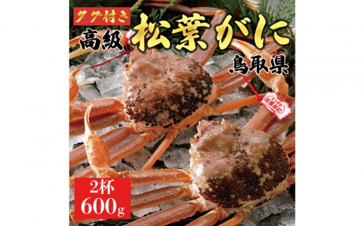 【2025年11月発送】特撰 松葉がに（なま）【ブランドタグ付き】600g超のサイズ  2杯