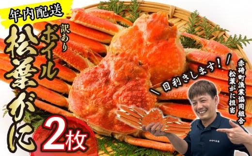 【先行予約】(訳あり)松葉ガニ(ボイル)2枚【年内配送】※着日指定不可※北海道、沖縄、一部離島への配送不可《ずわいがに かに カニ 蟹》