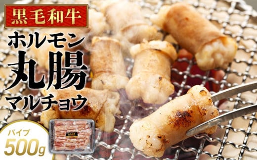 牛肉 黒毛和牛 ホルモン 丸腸(マルチョウ) 500g