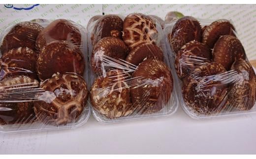 大山山麓 原木しいたけ ( 200g × 3パック )