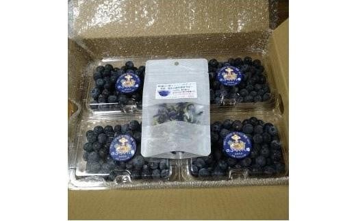 【先行予約 2026年6月下旬以降発送】琴浦町産生ブルーベリー1kg(250g×4パック)