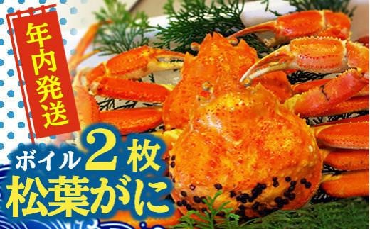 【先行予約】松葉ガニ(ボイル)2枚【年内配送】※着日指定不可※北海道、沖縄、一部離島への配送不可《ずわいがに かに カニ 蟹 正体》