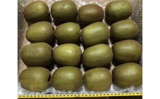 キウイフルーツ(レインボーレッド2kg)と追熟剤セット