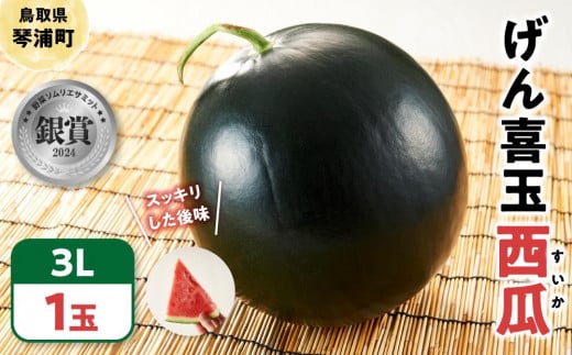 【先行予約 2026年6月下旬以降発送】 大玉 スイカ げん喜玉 西瓜 3L(1玉)