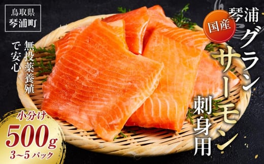 サーモン 琴浦 グランサーモン 500g ( 3-5パック ) 刺身用 小分け 生食 国産 陸上養殖 刺身 刺し身 さしみ 冷凍 鮭 サケ 魚 さかな 海鮮 魚介類 鳥取 人気 おすすめ 真空 個包装