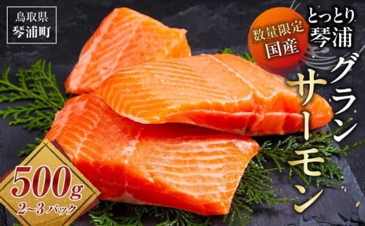 サーモン 琴浦 グランサーモン 500g ( 2-3パック ) 【 刺身 生食可 国産 サーモン 養殖 陸上養殖 サーモン 刺し身 さしみ 小分け 真空 冷凍 サーモン 鮭 サケ 魚 さかな グランサーモン 海鮮 魚介類 養殖サーモン 鳥取 人気 おすすめ 国産サーモン 琴浦町 】