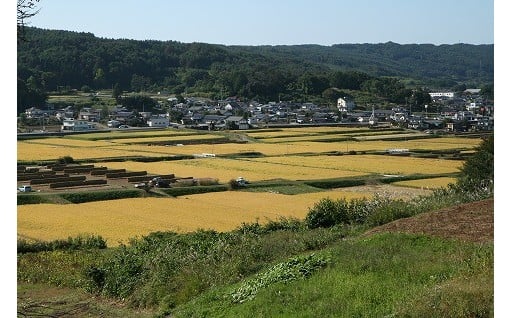 ４　産業振興（農業振興・農産物ブランド化）に関する事業　（特産品でお米をご希望の方）