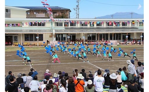 ５　次代を創る子どもの育成と教育・文化の振興に関する事業