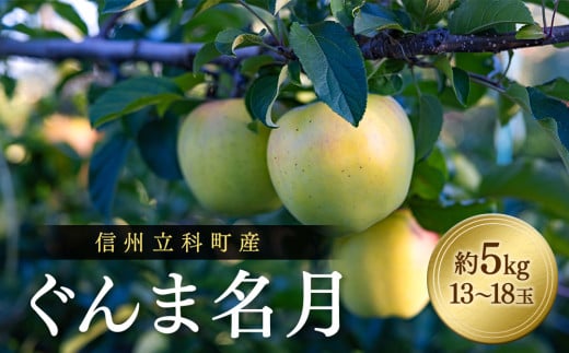 ぐんま名月(約5kg、優13~18玉)