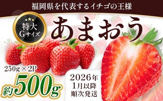 福岡県産 あまおう 約500g前後(約250g×2)1月~3月発送 3KC2