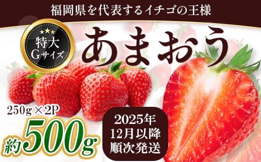 福岡県産 あまおう 約500g前後(約250g×2)12月以降発送 3KC4