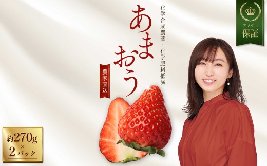 特別栽培 農家直送 福岡県産 あまおう 約270g前後 × 2パック ふるさと納税 いちご イチゴ 苺 赤村 果物 くだもの フルーツ ジャム にも ケーキ にも 先行予約 数量限定 ふるさと ランキング 人気 おすすめ 福岡 3W30