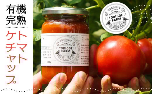 有機完熟トマトのギフトセット(ケチャップ280g×3本) C3