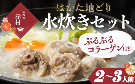 はかた地どり 美人水炊きセットA(2~3人前) 2T4