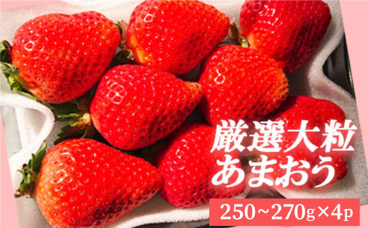 厳選大粒あまおう(4パック) 3SA2