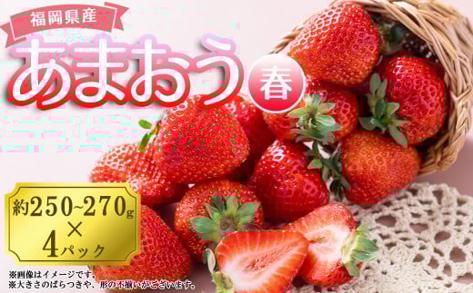 【春】福岡産あまおう4パック 4A3