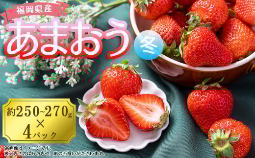 【冬】福岡産あまおう4パック 4A2