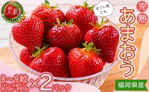 暖家のいちご ギフト用完熟あまおう(8粒~9粒)×2パック 4H1