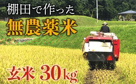 【新米】赤村産棚田米こだわりの夢つくし(玄米)30kg J3-S