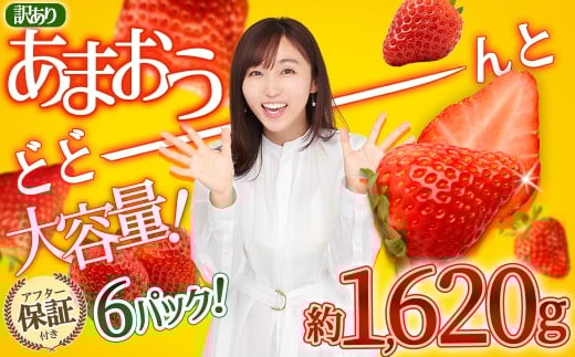 【福岡県産 あまおう】テレビ 「 ヒルナンデス 」 で紹介されました! 訳あり グランデ 約 270g 前後 × 6パック ふるさと納税 あまおう いちご イチゴ 苺 博多 赤村 あまおう  果物 くだもの フルーツ ジャム にも ケーキ にも 先行予約 数量限定 ふるさと ランキング 人気 おすすめ 福岡 TV紹介 送料無料 3W13