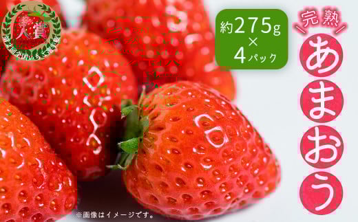 暖家のいちご 完熟あまおう (約275g×4パック) 4H4
