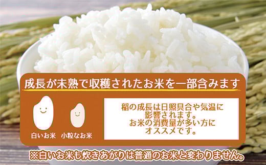 新米 令和7年産 訳あり ふくきらり 米 合計 15kg ( 5kg × 3袋
