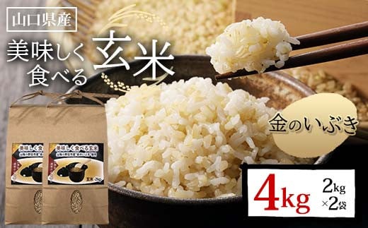 美味しく食べる玄米 計4kg 2kg×2袋 玄米 金のいぶき 小分け 定期便 ご当地 グルメ 食品 F6L-1089