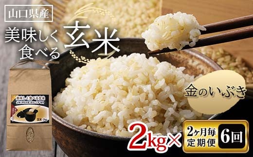 《2ヶ月毎定期便 全6回》美味しく食べる玄米 2kg×6 計12kg 玄米 金のいぶき 定期便 ご当地 グルメ 食品 F6L-1090