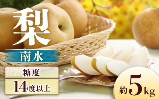 【2026年発送先行予約】梨 南水 約5㎏【8~16玉】※2026年9月中旬~10月初旬発送予定※