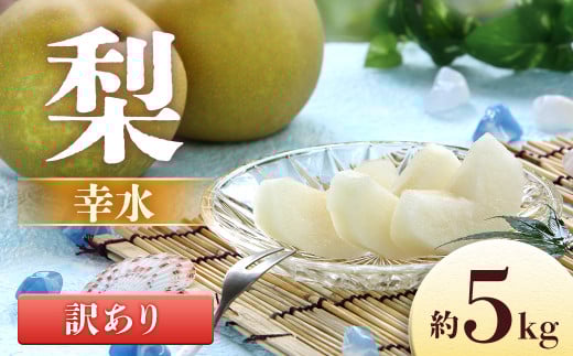 I-12 梨 幸水※訳あり品 ※ 約5kg【8~16玉】※2026年発送 先行予約分※