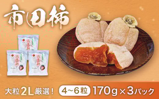 A-113 市田柿 (大粒2Lのみ厳選) 約170g×3パック ※2026年1月~発送予定※