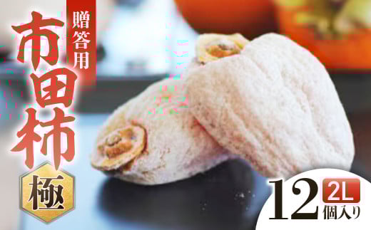 A-110 信州の特産品「市田柿・極」贈答用2Lサイズ(12個入)<2026年1月上旬~2月下旬発送>