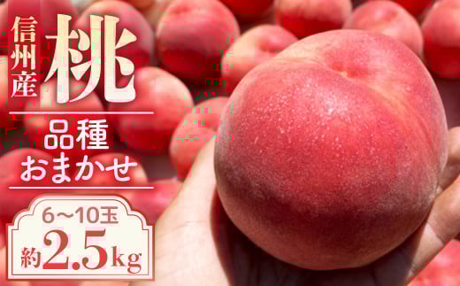 【2026年発送先行予約】※品種おまかせ※ 初夏の桃 約2.5kg【6~10玉】 農家直送|もも|桃