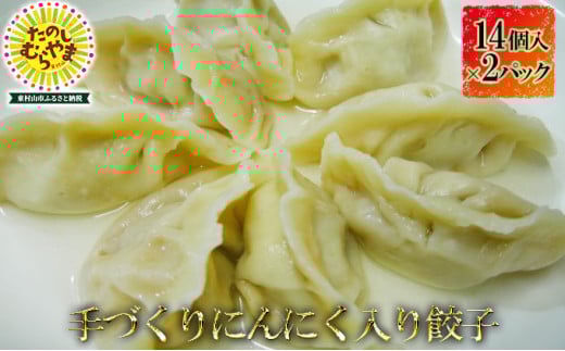 水餃子(にんにく入り)14個×2パック【1295869】