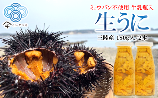 「先行予約」2026年発送分「ミョウバン不使用! 牛乳瓶入 生うに 180g×2本」 岩手 三陸 久慈 冷蔵 牛乳瓶 生 雲丹 ウニ 新鮮 添加物不使用 ミョウバン不使用 配送指定日不可 5月GW以降発送予定