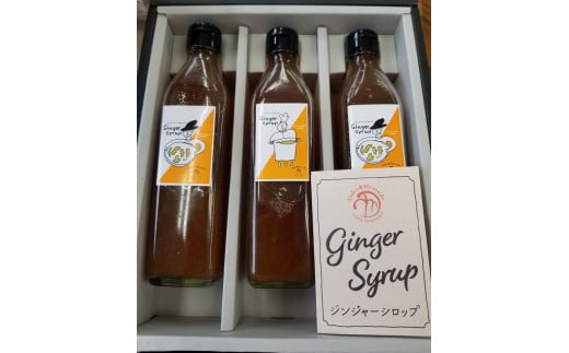 ttd11ジンジャーシロップ　3本セット