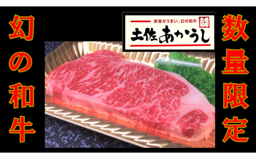 ttn164土佐あかうしサーロインステーキ(約190g×1枚)