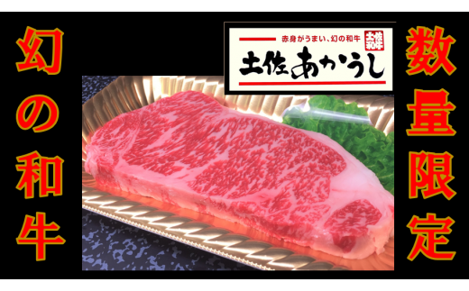 ttn164土佐あかうしサーロインステーキ(約190g×1枚)